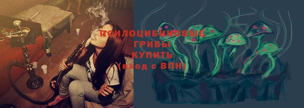первитин Михайлов