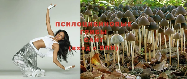 apvp Михайловка